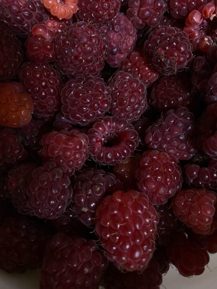 Berry Bounty: Nature's Farm-Fresh Jewels