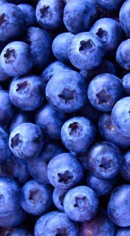 Orchard Medley: Handpicked Harvest Delights